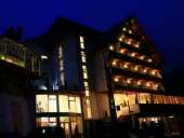 Foto exterior la Hotel Roman 3* Maramures